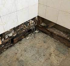 bathroom waterproofing leaking shower