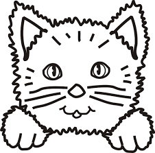 Her unusual face has earned her internet fame. Related Kitty Cat Face Coloring Pages Item 22046 Kitty Cat Face Coloring Pages Cat Face