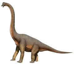 Brachiosaurus Dinosaur Straight Neck