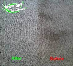 kwik dry carpet and upholstery cleaning