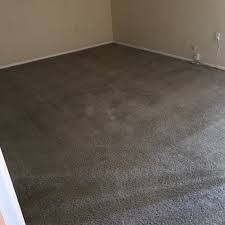 carpet cleaning in ta fl