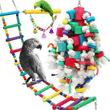 14 parrot toys that keep your pets