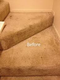 carpet cleaning dublin ca