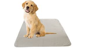12 pack puppy training washable pad