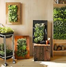 Build A Charming Indoor Vertical Garden