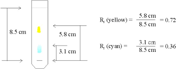 Rf Values In Paper Chromatography