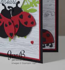 o ladybug valentine card janb cards