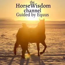 the HorseWisdom Channel Guided by Equus