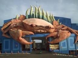 Wisata bahari lamongan atau disingkat wbl adalah tempat wisata bahari yang terletak di kecamatan paciran, kabupaten lamongan, jawa timur. Wisata Bahari Lamongan Kaskus