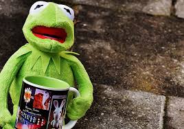 free photo kermit cup drink coffee