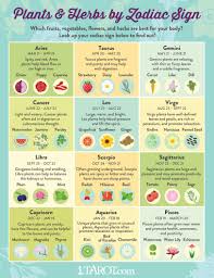 Plants And Herbs For Your Zodiac Sign Zodiac Zodiac Signs