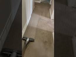 carpet cleaning services in kitchener