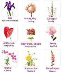 Flowers that symbolize strength and healing. A Few Flower Meanings The Secret Language Of Flowers