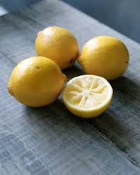 how to grow a lemon tree from seed