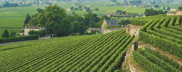 Eté 2020 : 3 escapades dans les vignes à Saint-Emilion - Bordeaux Tendances