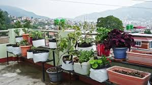 Rooftop Farming Images Browse 11 354