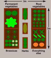vegetable garden planning
