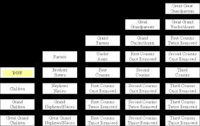 Consanguinity And Affinity Relationship Chart Pdf Document