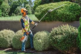 extended reach pole hedge trimmers
