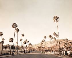 Palm Springs Photography Mid Century