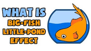 what is big fish little pond effect