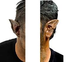 wolf werewolf latex ears prosthetic ear