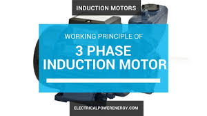 3 phase ac induction motor working
