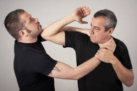 basics of krav maga self defense free