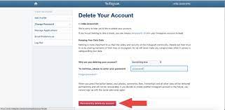 permanently delete your insram account