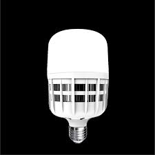 Đèn Led Bulb Công Suất Lớn Điện Quang Đq Ledbu09 25765 (25W Daylight) Giá  Rẻ Nhất Tháng 10/2021