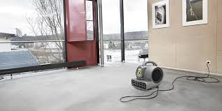 commercial carpet cleaners karcher