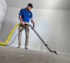 the 1 carpet cleaner in pleasant grove