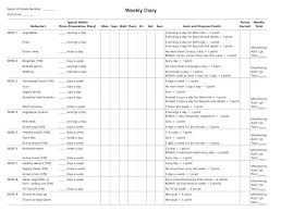 Comfortable Free Online Food Diary Template Spreadsheet Calorie