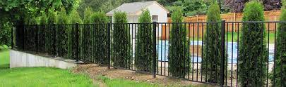 Standard Fence Height Vinyl And