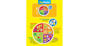 My Plate Poster Chart