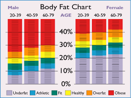 Body Fat Percentage 27 Year Old Female