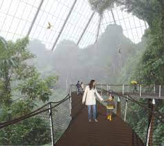 rainforest pyramid enhancement