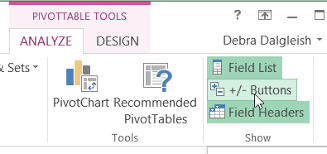 expand and collapse pivot table fields