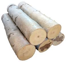 large white birch fireplace logs set