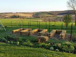 Faced with the expense (ok, and effort) of building raised beds, i decided instead to go cheap and easy: Very Logical Design Wonderful View Strawbale Gardening Garden Layout Strawbale Garden