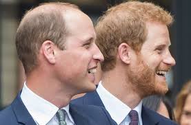 Cell biology, molecular biology and biochemistry. Prince William And Prince Harry Have Small Roles In Star Wars The Last Jedi Prince Harry Prince William Prince William And Harry