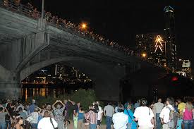 congress avenue bridge bats in austin