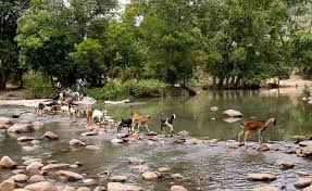 wildlife sanctuary in india to visit