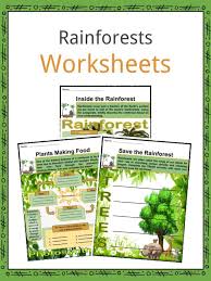 rainforest worksheets facts for kids