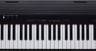 Roland GO 88 P Stage Piano | Piaggeros | Key Instruments | Music  Instruments | MSV Musikgeschäft | Musik Center Hagenbrunn
