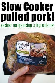 easy pulled pork slow cooker recipe