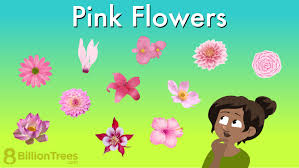 75 plants with pink flowers names
