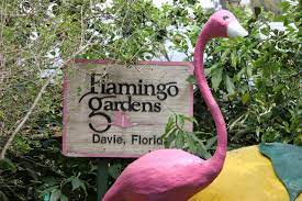 Flamingo Gardens In South Florida Fla