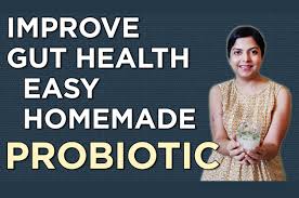 easy homemade probiotic recipe to