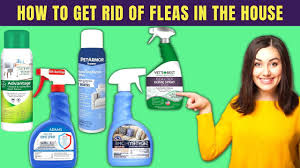 7 best flea and tick spray for house